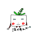 ひねくれたにく多肉植物（個別スタンプ：17）