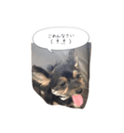 みみるる（個別スタンプ：18）