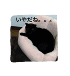 ぢぃぢととら（個別スタンプ：2）