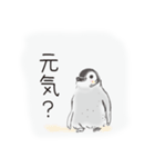 消極的ペンギン（個別スタンプ：31）