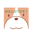 敬語わんわん（個別スタンプ：11）