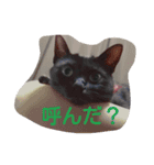 ナナナナナナ！（個別スタンプ：1）