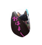ナナナナナナ！（個別スタンプ：4）