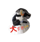 ナナナナナナ！（個別スタンプ：7）