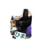 ナナナナナナ！（個別スタンプ：11）