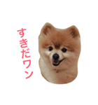 わんこ達のきもち（個別スタンプ：4）