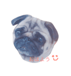 おもち時々おこわ（個別スタンプ：4）