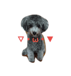 犬のFil（個別スタンプ：3）