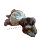 犬のFil（個別スタンプ：4）