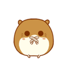 Haku Hamster（個別スタンプ：14）