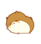 Haku Hamster（個別スタンプ：19）