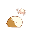 Haku Hamster（個別スタンプ：30）