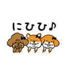 しもぶくれ犬のスタンプ（個別スタンプ：30）