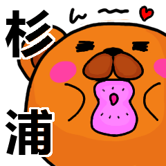 [LINEスタンプ] 杉浦より愛を込めて（名前スタンプ）