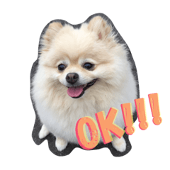 [LINEスタンプ] PochaPome