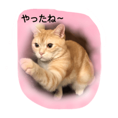 [LINEスタンプ] のの次郎1