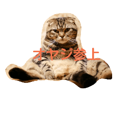 [LINEスタンプ] ニャンズー