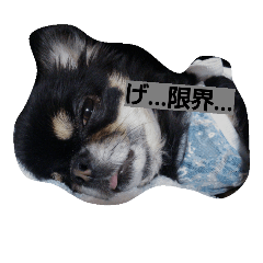 [LINEスタンプ] wonder princess