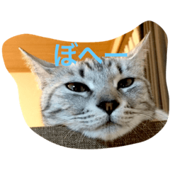 [LINEスタンプ] ニアのつぶやき