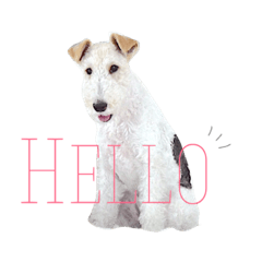 [LINEスタンプ] メイの日常