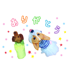 [LINEスタンプ] あいさつする短足犬