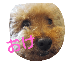 [LINEスタンプ] ジロウ挨拶