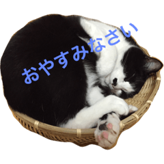 [LINEスタンプ] こてつ さん