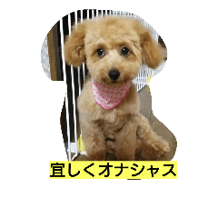 [LINEスタンプ] こてつまるるるる