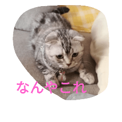 [LINEスタンプ] チーボー