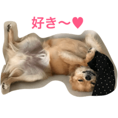 [LINEスタンプ] ウチのぽんた