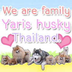 [LINEスタンプ] Yaris Husky Thailand