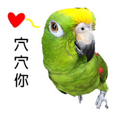 [LINEスタンプ] the cutest BIRD in the 21st century