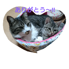 [LINEスタンプ] thank you！！！