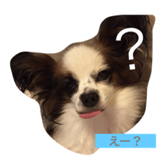[LINEスタンプ] さんぽいく？