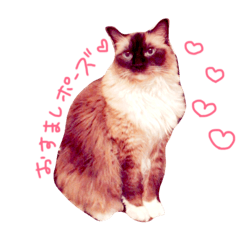 [LINEスタンプ] 私は、めるちゃん