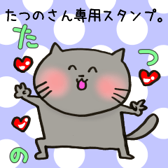 [LINEスタンプ] たつのさん専用スタンプの画像（メイン）