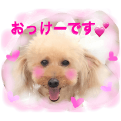 [LINEスタンプ] フリベリちゃん2