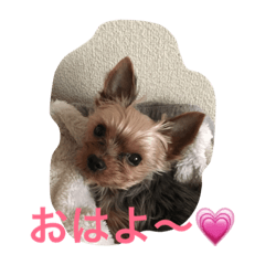 [LINEスタンプ] れんなう2