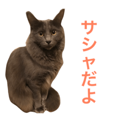 [LINEスタンプ] サシャ様