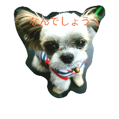 [LINEスタンプ] マメだけど…