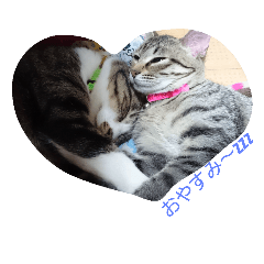 [LINEスタンプ] cute！！！！！