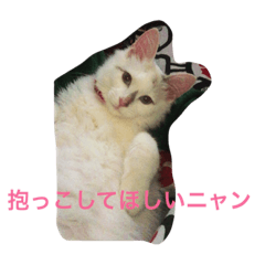 [LINEスタンプ] シロニャンコちゃん