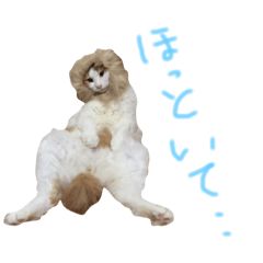 [LINEスタンプ] デブねこのつぶやき