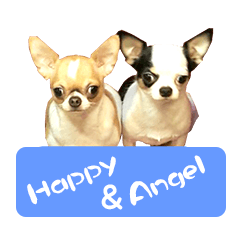 [LINEスタンプ] Happy＆Angel