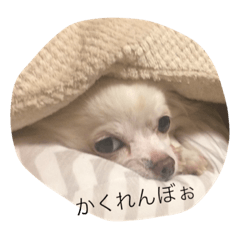 [LINEスタンプ] こゆっこちゃん
