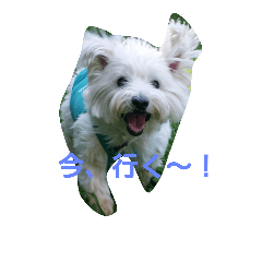 [LINEスタンプ] westybabou2