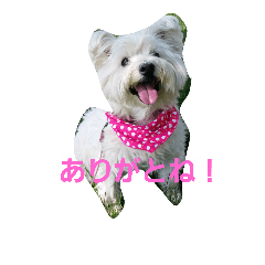 [LINEスタンプ] westybabou