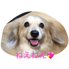 [LINEスタンプ] きなこ......