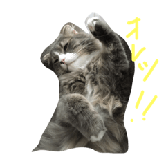 [LINEスタンプ] まんたとぶんた