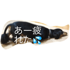 [LINEスタンプ] ミックちゃん
